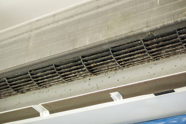 Best Affordable Duct Cleaning Services  in Mason City, IL